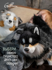 Игрушка мягкая «Финская лайка» - Фото 13