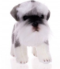 Игрушка мягкая «Шнауцер» - Фото 14