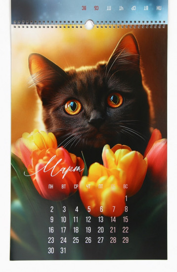 Календарь на 2026 год «Котики»