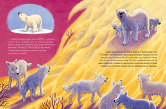 Белый медвежонок. Приключения в Арктике - Фото 2