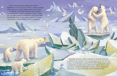 Белый медвежонок. Приключения в Арктике - Фото 5