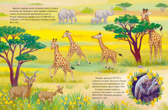 Малышка жираф. Приключения в саванне - Фото 2