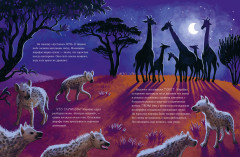 Малышка жираф. Приключения в саванне - Фото 3