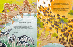 Малышка жираф. Приключения в саванне - Фото 4