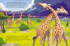 Малышка жираф. Приключения в саванне - Фото 5