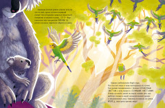 Маленький коала. Приключения в эвкалиптовом лесу - Фото 1