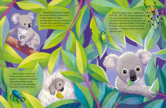 Маленький коала. Приключения в эвкалиптовом лесу - Фото 2