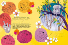 Маленький коала. Приключения в эвкалиптовом лесу - Фото 5