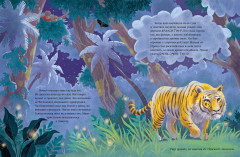 Малыш орангутанг. Приключения в тропиках - Фото 3