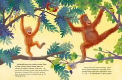 Малыш орангутанг. Приключения в тропиках - Фото 4