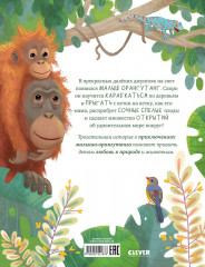 Малыш орангутанг. Приключения в тропиках - Фото 6