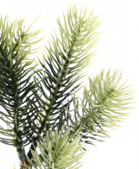 Ветка декоративная - Фото 1