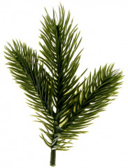 Набор веток декоративных - Фото 2