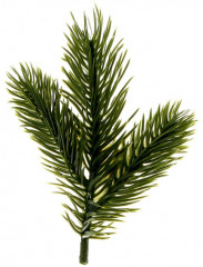 Набор веток декоративных - Фото 3