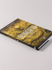 Беласагун. Тайна золотого амулета - Фото 3