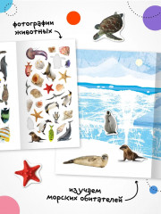 Фотонаклейки. В море - Фото 1