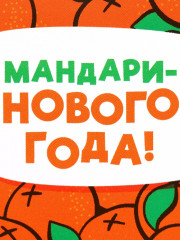 Ланч-бокс «Мандаринового года» - Фото 5