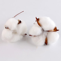 Набор для творчества «Материалы для зимних поделок. Шишки, веточки» - Фото 2