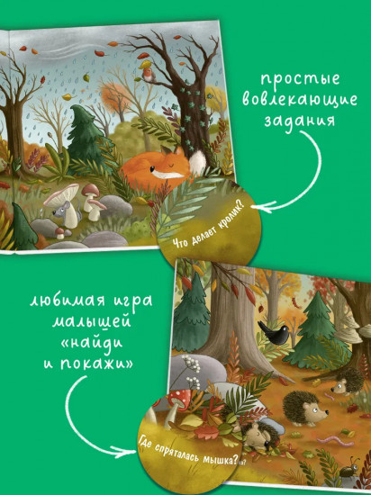 Осень в лесу
