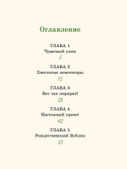 Рождественский Бублик, или Как Хвостик чудо искала - Фото 3