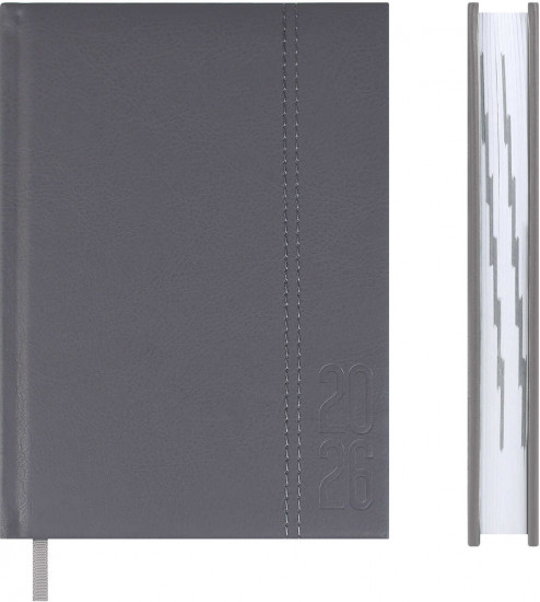 Ежедневник датированный на 2026 год