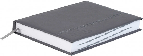 Ежедневник датированный на 2026 год