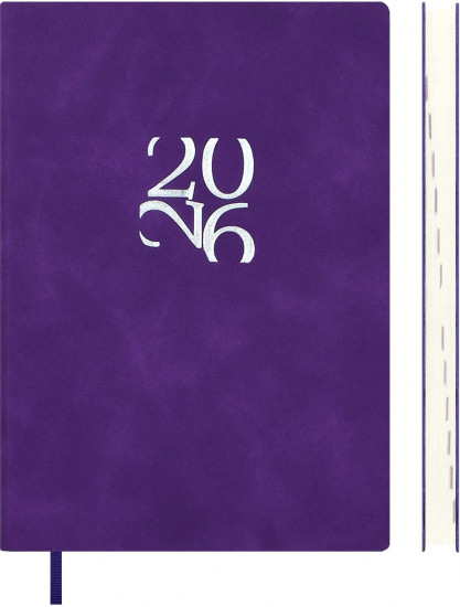 Ежедневник датированный на 2026 год