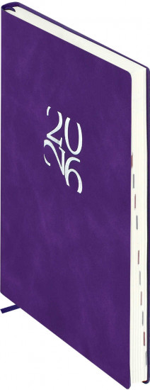 Ежедневник датированный на 2026 год