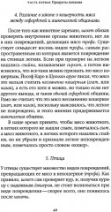 Не хлебом единым. Законы кашрута - Фото 9