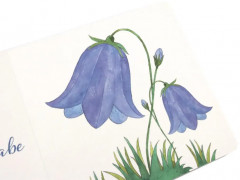 Где твой цветок? Где твоя птица? Где твой завтрак? Комплект из 3 книг - Фото 7