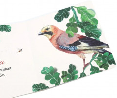 Где твой цветок? Где твоя птица? Где твой завтрак? Комплект из 3 книг - Фото 13