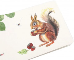 Где твой друг? Где твоя птица? Где твой завтрак? Комплект из 3 книг - Фото 10