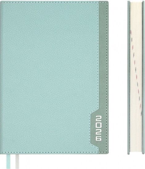 Ежедневник датированный на 2026 год