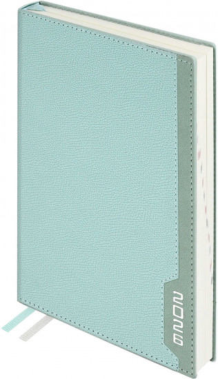 Ежедневник датированный на 2026 год