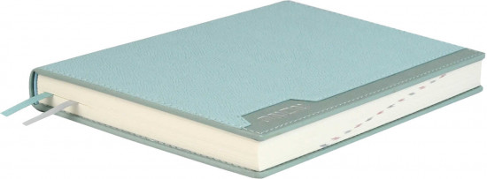 Ежедневник датированный на 2026 год