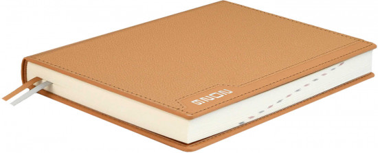 Ежедневник датированный на 2026 год