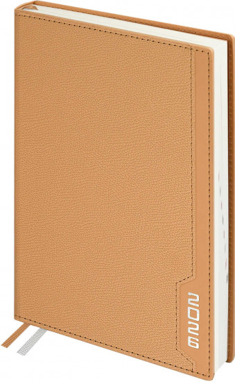 Ежедневник датированный на 2026 год