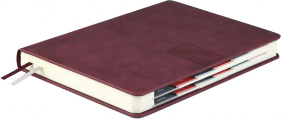 Ежедневник датированный на 2026 год