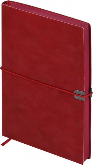 Ежедневник датированный на 2026 год