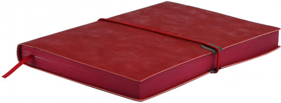 Ежедневник датированный на 2026 год