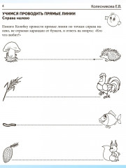 Математические прописи для детей 4-5 лет. Комплект из 20 одинаковых книг - Фото 5