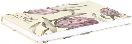 Ежедневник датированный на 2026 год «Протея»