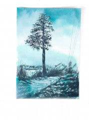 Калька в рулоне - Фото 15