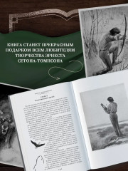 Рольф в лесах. Лесные рассказы - Фото 3