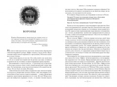 Язык магии. Книга 2. Узоры тьмы - Фото 7