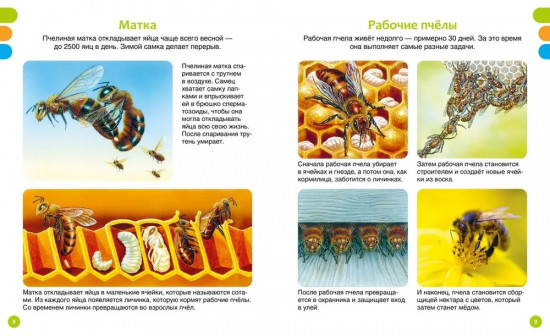 Животные-малютки