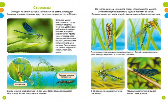 Животные-малютки