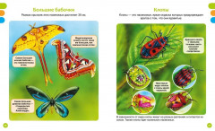 Животные-малютки - Фото 3