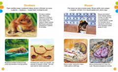 Животные-малютки - Фото 4