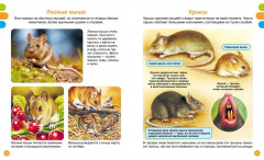 Животные-малютки - Фото 5